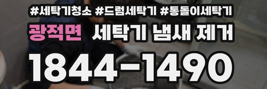 광적면 세탁기 냄새 제거