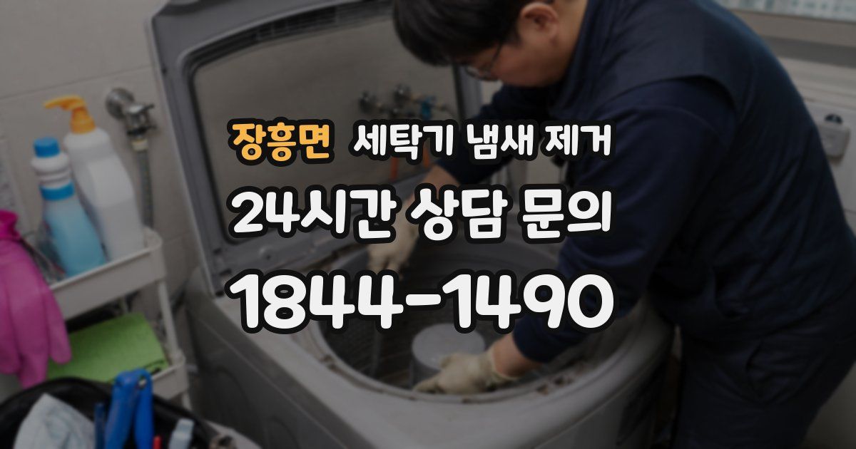 장흥면 세탁기 냄새 제거