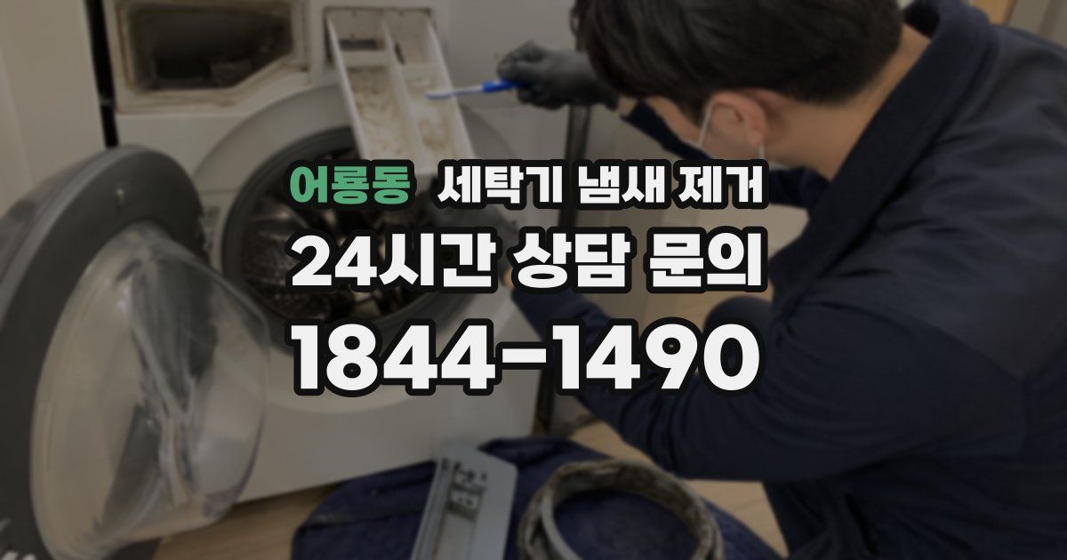 어룡동 세탁기 냄새 제거