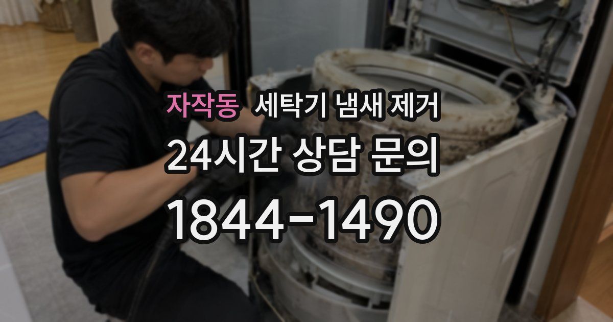 자작동 세탁기 냄새 제거