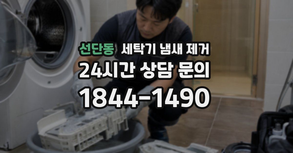선단동 세탁기 냄새 제거