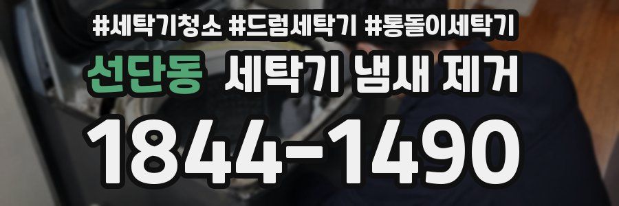 선단동 세탁기 냄새 제거