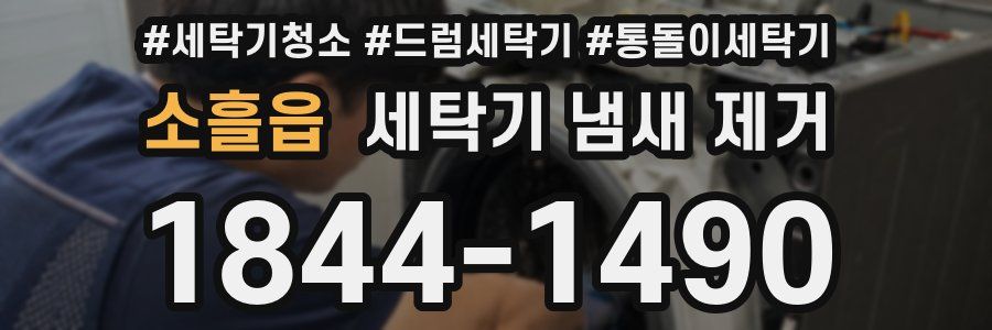 소흘읍 세탁기 냄새 제거
