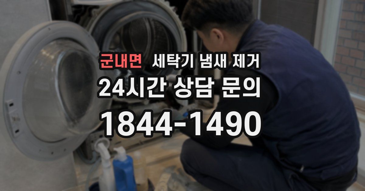 군내면 세탁기 냄새 제거
