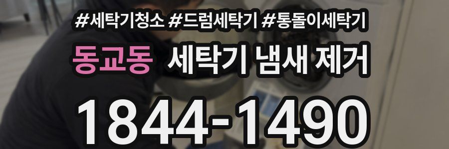 동교동 세탁기 냄새 제거