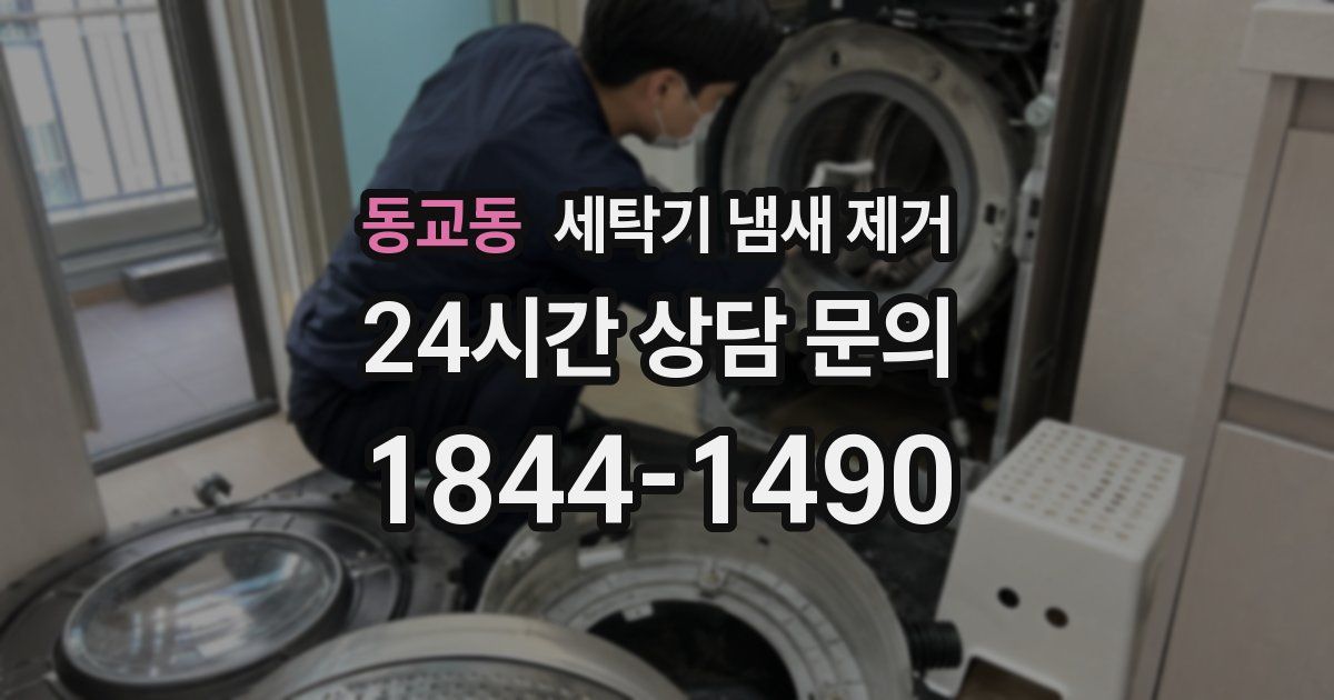 동교동 세탁기 냄새 제거