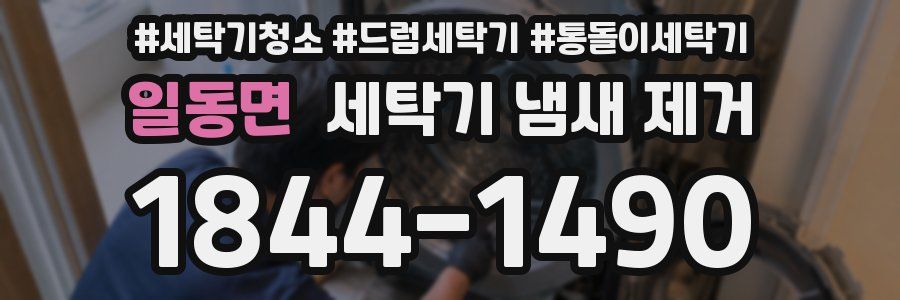 일동면 세탁기 냄새 제거