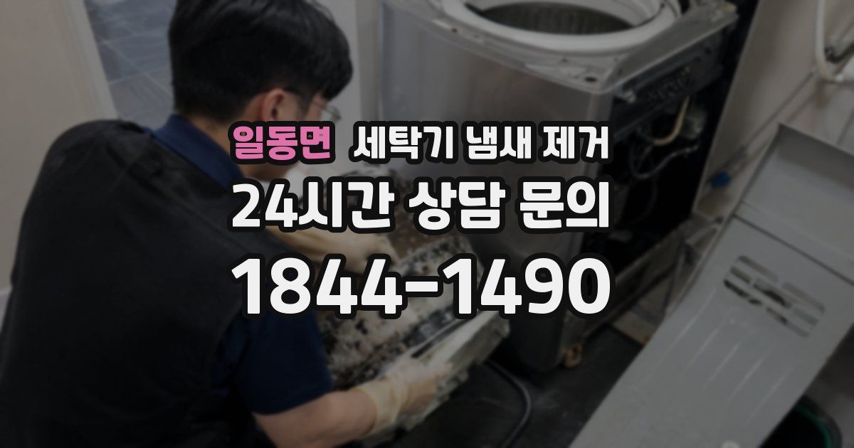 일동면 세탁기 냄새 제거
