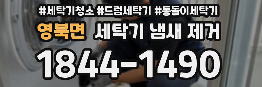 영북면 세탁기 냄새 제거