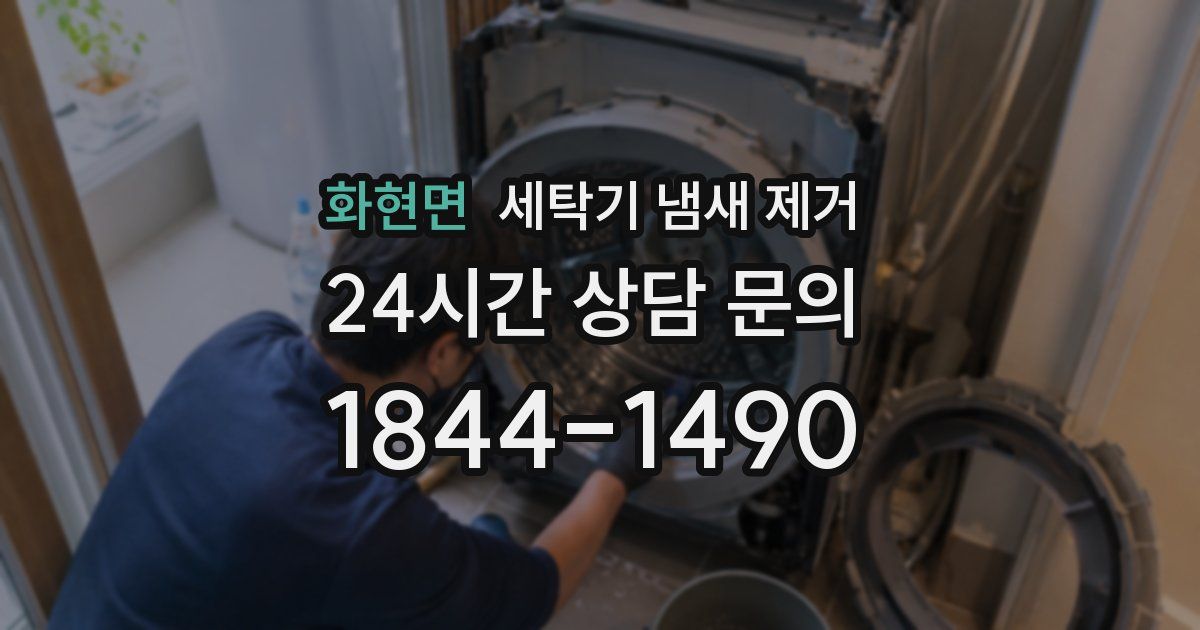 화현면 세탁기 냄새 제거