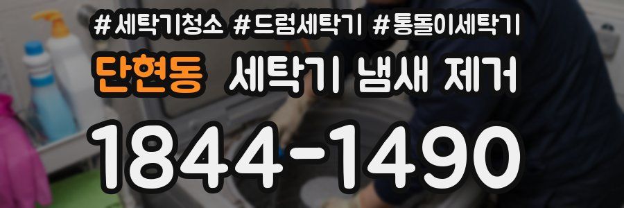 단현동 세탁기 냄새 제거