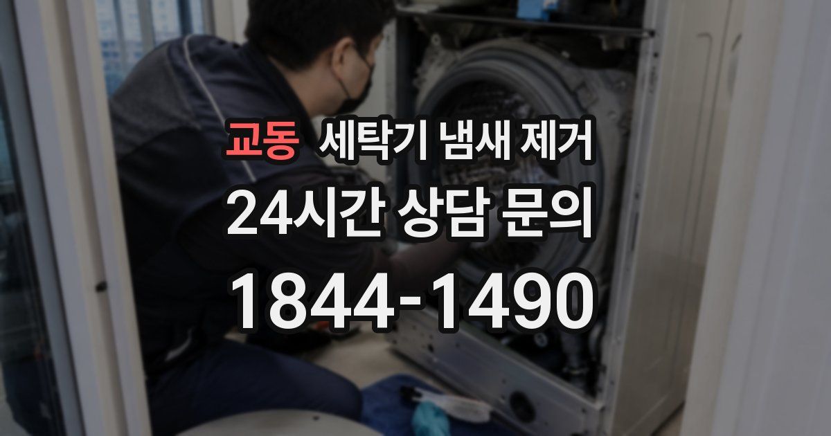 교동 세탁기 냄새 제거