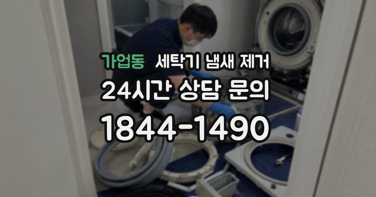 가업동 세탁기 냄새 제거