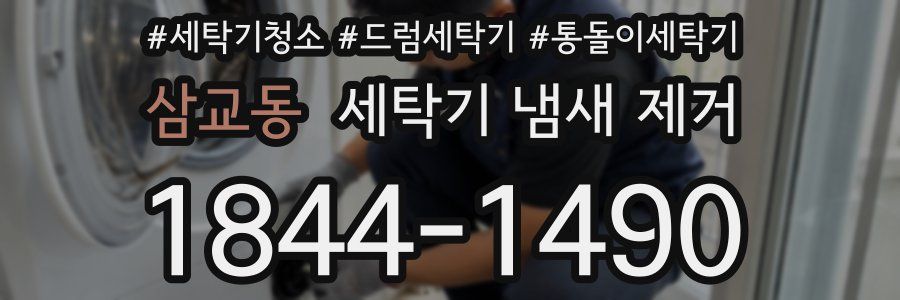삼교동 세탁기 냄새 제거