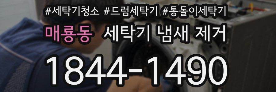매룡동 세탁기 냄새 제거