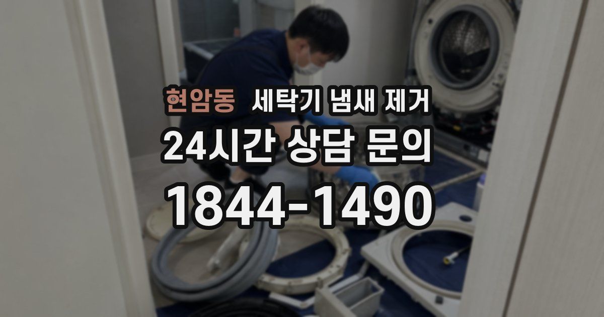 현암동 세탁기 냄새 제거