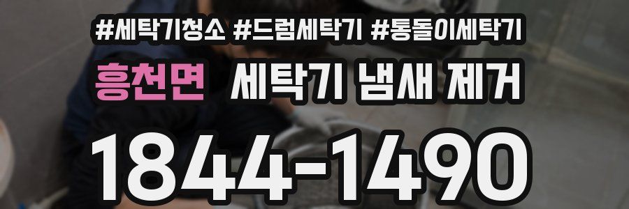 흥천면 세탁기 냄새 제거