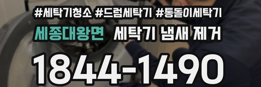 세종대왕면 세탁기 냄새 제거