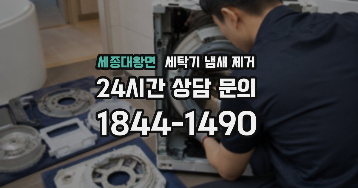 세종대왕면 세탁기 냄새 제거