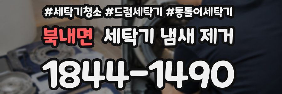 북내면 세탁기 냄새 제거