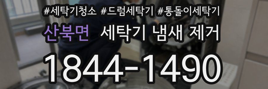산북면 세탁기 냄새 제거