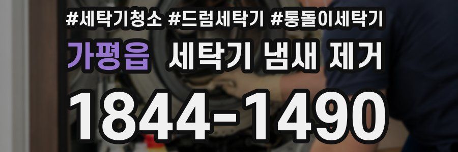 가평읍 세탁기 냄새 제거