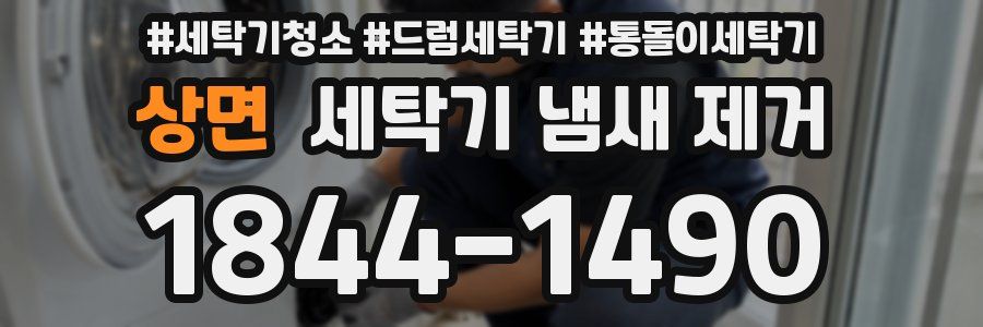 상면 세탁기 냄새 제거