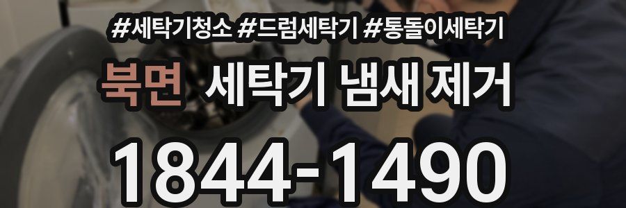북면 세탁기 냄새 제거