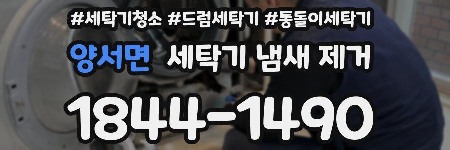 양서면 세탁기 냄새 제거