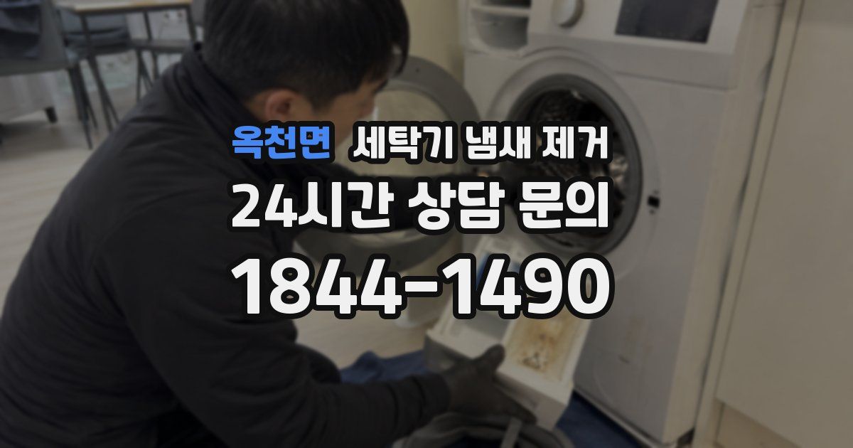 옥천면 세탁기 냄새 제거