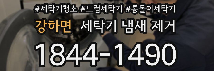 강하면 세탁기 냄새 제거