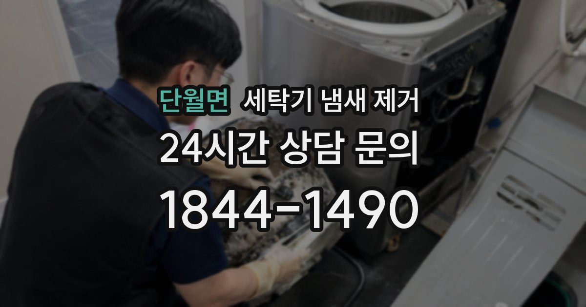 단월면 세탁기 냄새 제거