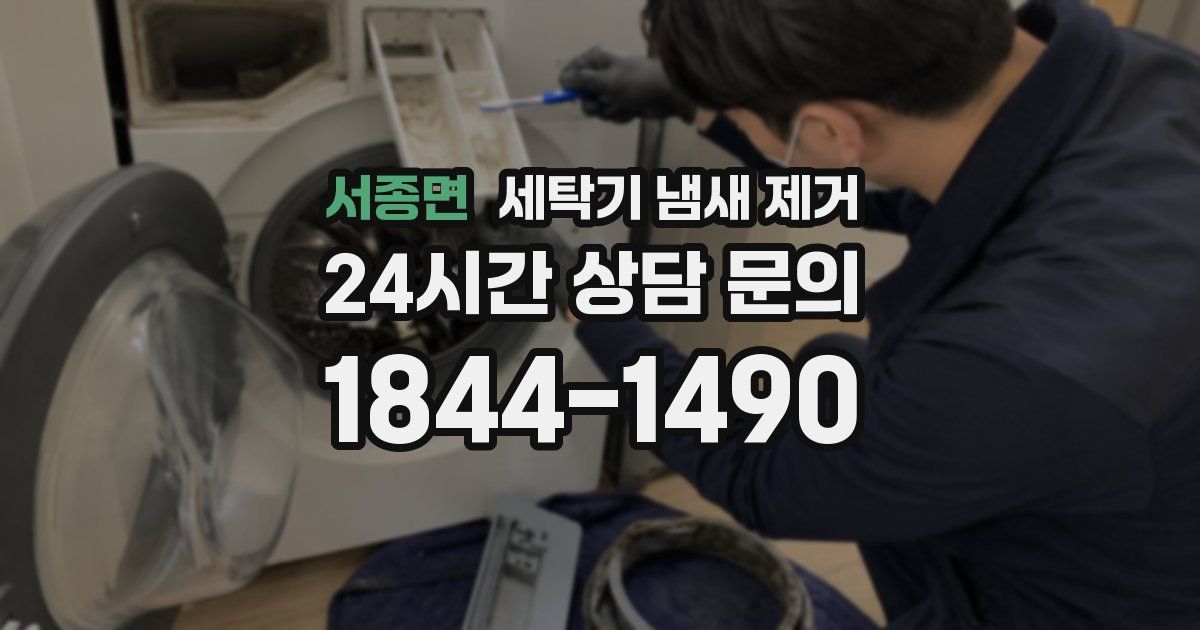 서종면 세탁기 냄새 제거