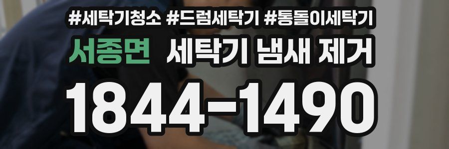 서종면 세탁기 냄새 제거