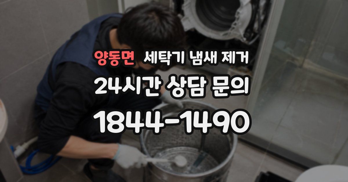 양동면 세탁기 냄새 제거