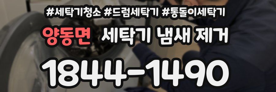 양동면 세탁기 냄새 제거
