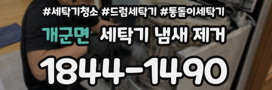 개군면 세탁기 냄새 제거