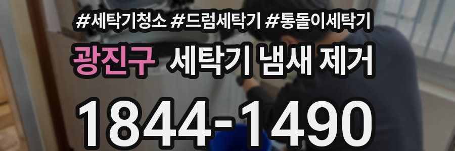 광진구 세탁기 냄새 제거