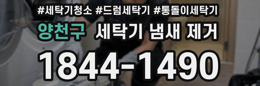 양천구 세탁기 냄새 제거