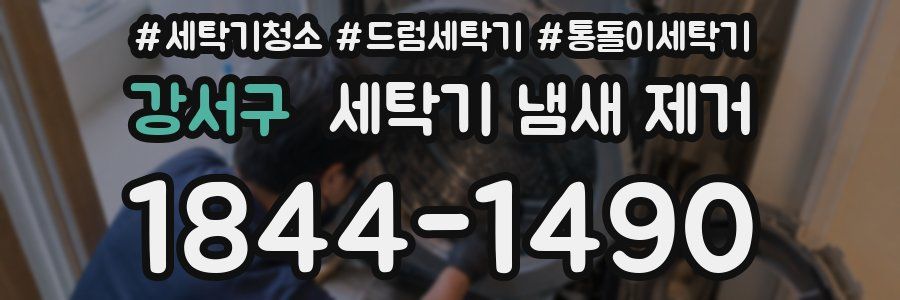강서구 세탁기 냄새 제거