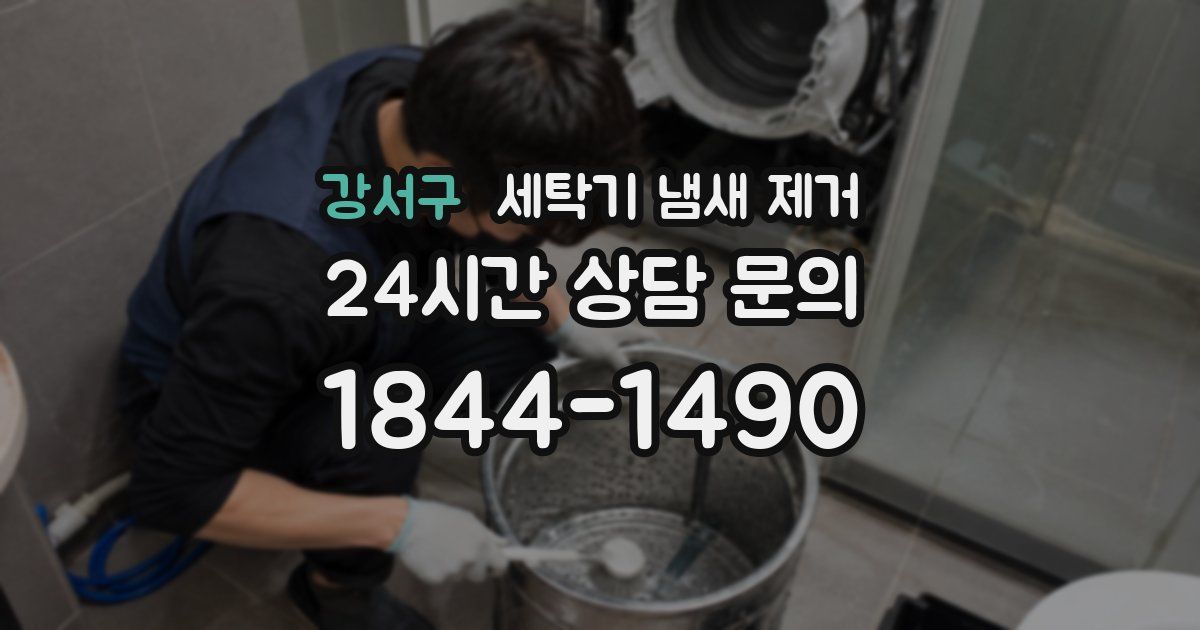 강서구 세탁기 냄새 제거
