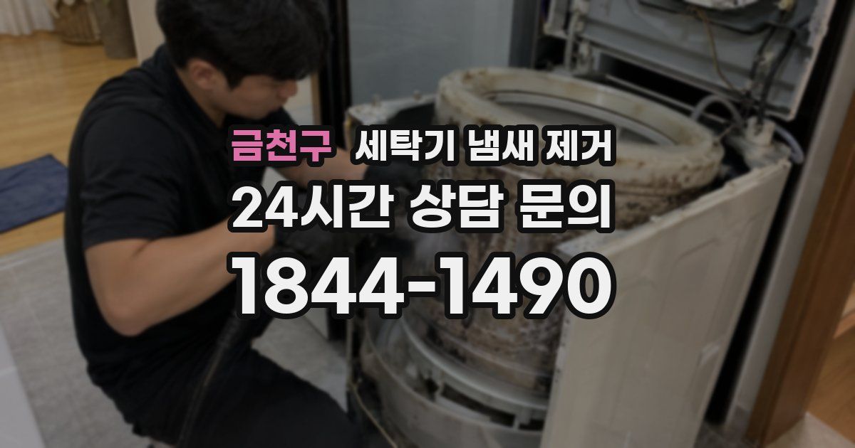 금천구 세탁기 냄새 제거