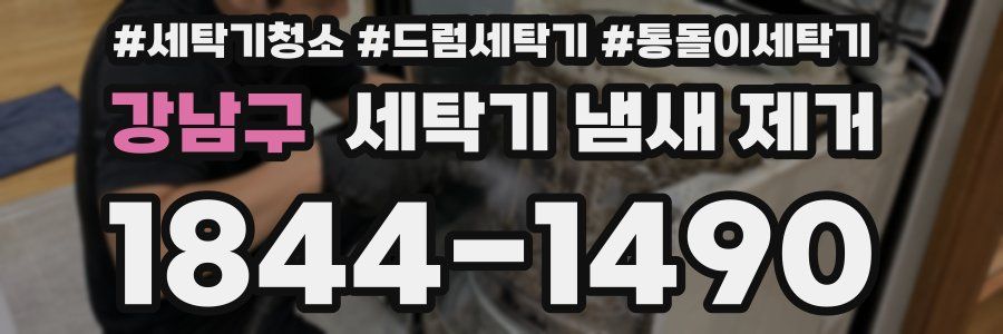 강남구 세탁기 냄새 제거