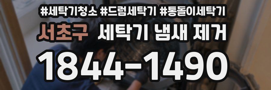 서초구 세탁기 냄새 제거