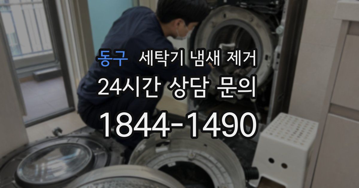 동구 세탁기 냄새 제거