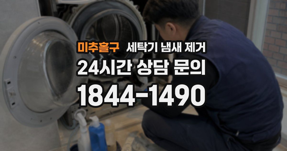 미추홀구 세탁기 냄새 제거
