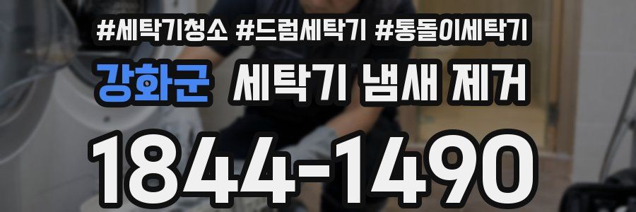 강화군 세탁기 냄새 제거