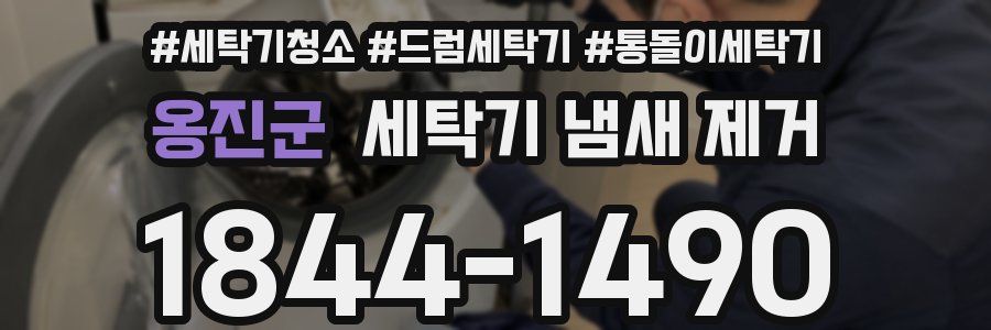 옹진군 세탁기 냄새 제거