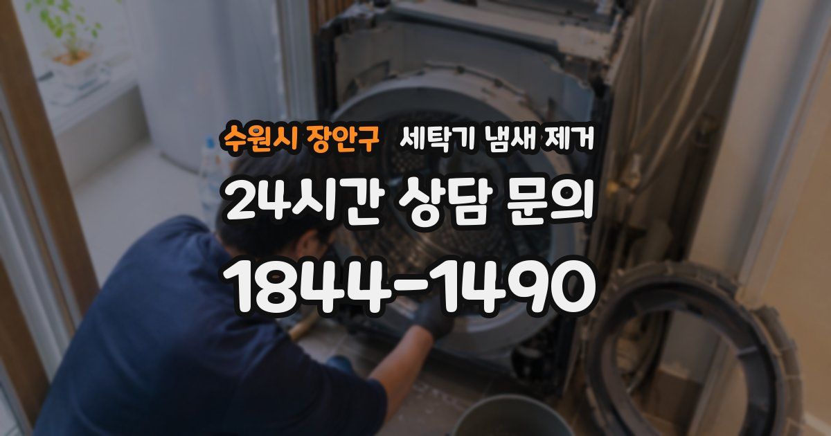 수원시 장안구 세탁기 냄새 제거