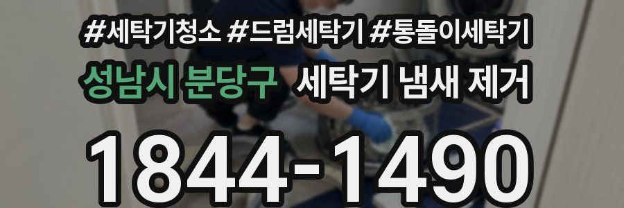 성남시 분당구 세탁기 냄새 제거